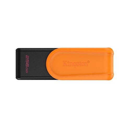 Pen Drive KINGSTON 256GB USB 3.2 DTXS